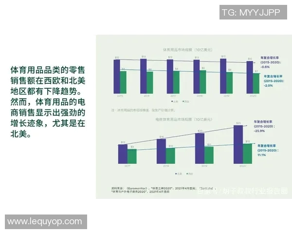 体育用品品牌电商业绩分析与市场趋势探讨助力行业发展新机遇