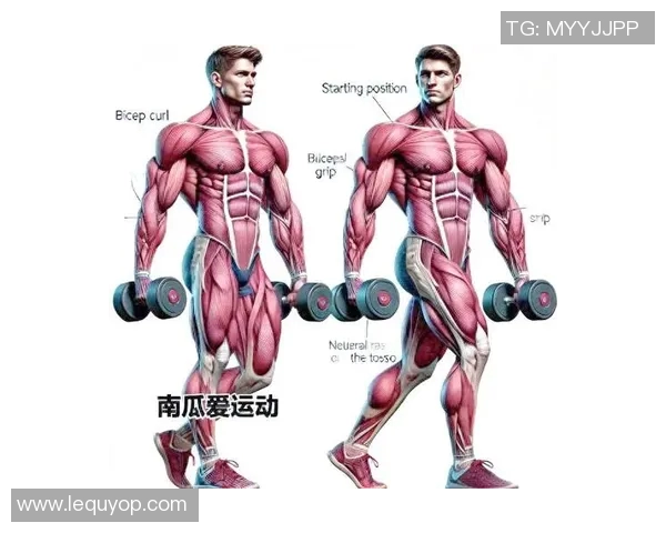 全面解析哑铃的作用与功能助你塑造完美身材与增强体能
